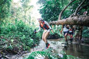 BIB: 
                            <button type="button" onclick="openModal(25444059)" class="btn btn-primary btn-sm float-right btn-popup" data-toggle="modal" data-target=".modal-high-quality">
                        <i class="fas fa-shopping-cart"></i> Add to Cart
                    </button>
                                            <button type="button" onclick="isThisMe(25444059, true)" class="btn btn-success btn-sm float-right btn-popup btn-isme hidden" data-toggle="tooltip" data-placement="bottom" title="นี่คือรูปของคุณใช่ไหม คลิกที่นี่เพื่อเอาเข้าอัลบั้ม">
                        <i class="fas fa-plus"></i> Add to album
                    </button>
                    <button type="button" onclick="isThisMe(25444059, false)" class="btn btn-warning btn-sm float-right btn-popup btn-isnotme hidden">
                        <i class="fas fa-ban"></i> Remove from album
                    </button>